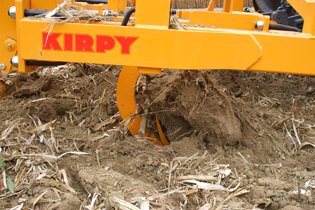Chisel Dents Maroc Kirpy DM