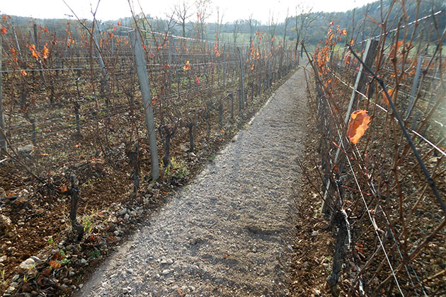 Después de pasar por los viñedos de la trituradora de piedra Kirpy BPL