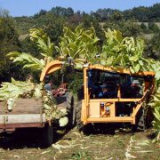 Récolteuse de tabac RMTD