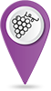 Picto Vigne